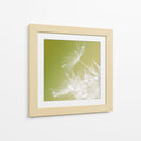 Macro de diente de león - Hilde Ghesquiere | Cuadro decorativo de Canvas Lab