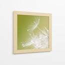 Macro de diente de león - Hilde Ghesquiere | Cuadro decorativo de Canvas Lab