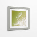 Macro de diente de león - Hilde Ghesquiere | Cuadro decorativo de Canvas Lab