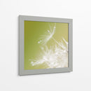Macro de diente de león - Hilde Ghesquiere | Cuadro decorativo de Canvas Lab