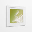 Macro de diente de león - Hilde Ghesquiere | Cuadro decorativo de Canvas Lab