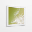 Macro de diente de león - Hilde Ghesquiere | Cuadro decorativo de Canvas Lab
