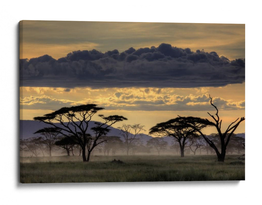Crepúsculo en la sabana africana - Amnon Eichelberg | Cuadro decorativo de Canvas Lab