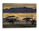 Crepúsculo en la sabana africana - Amnon Eichelberg | Cuadro decorativo de Canvas Lab