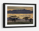 Crepúsculo en la sabana africana - Amnon Eichelberg | Cuadro decorativo de Canvas Lab