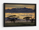 Crepúsculo en la sabana africana - Amnon Eichelberg | Cuadro decorativo de Canvas Lab