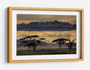 Crepúsculo en la sabana africana - Amnon Eichelberg | Cuadro decorativo de Canvas Lab