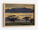 Crepúsculo en la sabana africana - Amnon Eichelberg | Cuadro decorativo de Canvas Lab