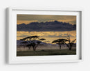 Crepúsculo en la sabana africana - Amnon Eichelberg | Cuadro decorativo de Canvas Lab