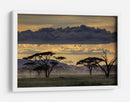 Crepúsculo en la sabana africana - Amnon Eichelberg | Cuadro decorativo de Canvas Lab