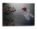 Serenidad de mariquita roja - Ellen van Deelen | Cuadro decorativo de Canvas Lab