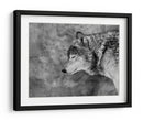 Lobo sereno invernal - Victoria Glinka | Cuadro decorativo de Canvas Lab