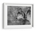 Lobo sereno invernal - Victoria Glinka | Cuadro decorativo de Canvas Lab