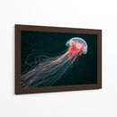 Cuadro decorativo de Canvas Lab