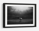 Majestuosos rayos de sol de caballo - Peter Svoboda MQEP | Cuadro decorativo de Canvas Lab