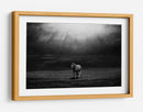Majestuosos rayos de sol de caballo - Peter Svoboda MQEP | Cuadro decorativo de Canvas Lab
