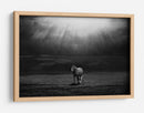Majestuosos rayos de sol de caballo - Peter Svoboda MQEP | Cuadro decorativo de Canvas Lab