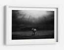 Majestuosos rayos de sol de caballo - Peter Svoboda MQEP | Cuadro decorativo de Canvas Lab