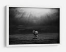 Majestuosos rayos de sol de caballo - Peter Svoboda MQEP | Cuadro decorativo de Canvas Lab