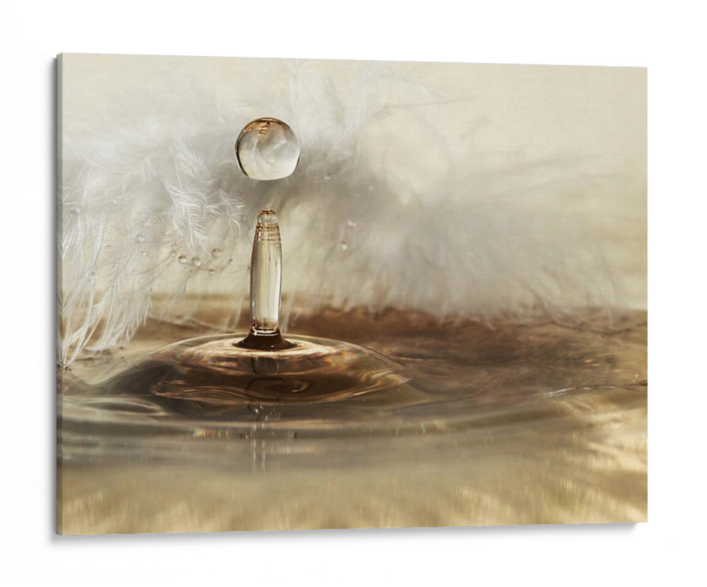 Pendiente de pluma dorada - Heidi Westum | Cuadro decorativo de Canvas Lab