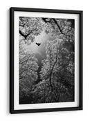 Vuelo etéreo por el bosque - Goran Stamenkovic | Cuadro decorativo de Canvas Lab