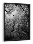 Vuelo etéreo por el bosque - Goran Stamenkovic | Cuadro decorativo de Canvas Lab