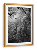 Vuelo etéreo por el bosque - Goran Stamenkovic | Cuadro decorativo de Canvas Lab