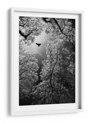 Vuelo etéreo por el bosque - Goran Stamenkovic | Cuadro decorativo de Canvas Lab