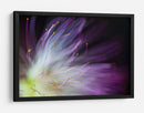 Flor de color morado suave - Art Lionse | Cuadro decorativo de Canvas Lab