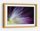 Flor de color morado suave - Art Lionse | Cuadro decorativo de Canvas Lab