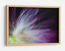 Flor de color morado suave - Art Lionse | Cuadro decorativo de Canvas Lab