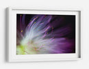Flor de color morado suave - Art Lionse | Cuadro decorativo de Canvas Lab