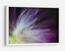 Flor de color morado suave - Art Lionse | Cuadro decorativo de Canvas Lab