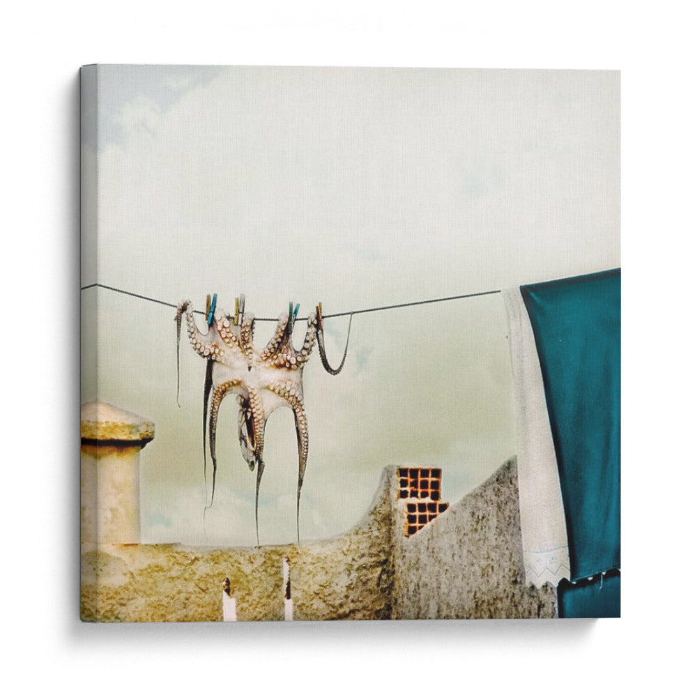 Lavandería de pulpo mediterráneo - ambra | Cuadro decorativo de Canvas Lab