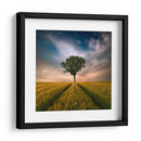Árbol solitario en un campo dorado - Piotr Krol (Bax) | Cuadro decorativo de Canvas Lab