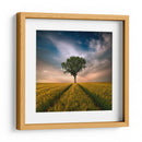 Árbol solitario en un campo dorado - Piotr Krol (Bax) | Cuadro decorativo de Canvas Lab