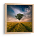 Árbol solitario en un campo dorado - Piotr Krol (Bax) | Cuadro decorativo de Canvas Lab