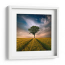 Árbol solitario en un campo dorado - Piotr Krol (Bax) | Cuadro decorativo de Canvas Lab
