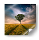Árbol solitario en un campo dorado - Piotr Krol (Bax) | Cuadro decorativo de Canvas Lab