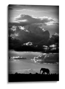 Silueta dramática de elefante - WildPhotoArt | Cuadro decorativo de Canvas Lab
