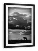 Silueta dramática de elefante - WildPhotoArt | Cuadro decorativo de Canvas Lab