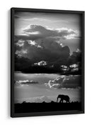 Silueta dramática de elefante - WildPhotoArt | Cuadro decorativo de Canvas Lab