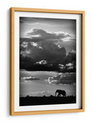 Silueta dramática de elefante - WildPhotoArt | Cuadro decorativo de Canvas Lab