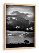 Silueta dramática de elefante - WildPhotoArt | Cuadro decorativo de Canvas Lab