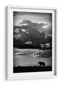 Silueta dramática de elefante - WildPhotoArt | Cuadro decorativo de Canvas Lab