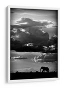 Silueta dramática de elefante - WildPhotoArt | Cuadro decorativo de Canvas Lab