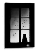 Vista desde la ventana del gato negro - Mario Pucic | Cuadro decorativo de Canvas Lab