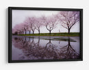Carrera de los cerezos en flor - Kouji Tomihisa | Cuadro decorativo de Canvas Lab