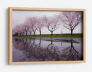 Carrera de los cerezos en flor - Kouji Tomihisa | Cuadro decorativo de Canvas Lab