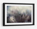 Semillas de diente de león cubiertas de rocío - Thomas Dam | Cuadro decorativo de Canvas Lab